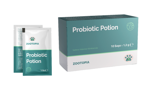 Kedi ve Köpek Zootopia Probiotic (Probiyotik) Potion 1,2 Gr x 10 Saşe