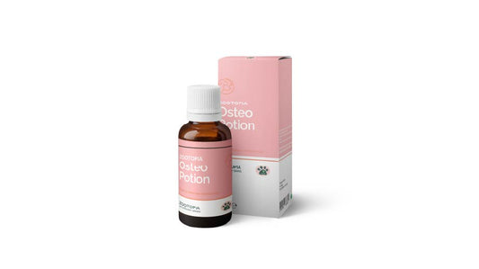Kedi ve Köpek Eklem ve Kemik Desteği – Zootopia Osteo Potion 120 ml